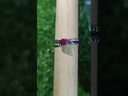 Ruby Gemstone Sterling Silver Multi-Band Ring